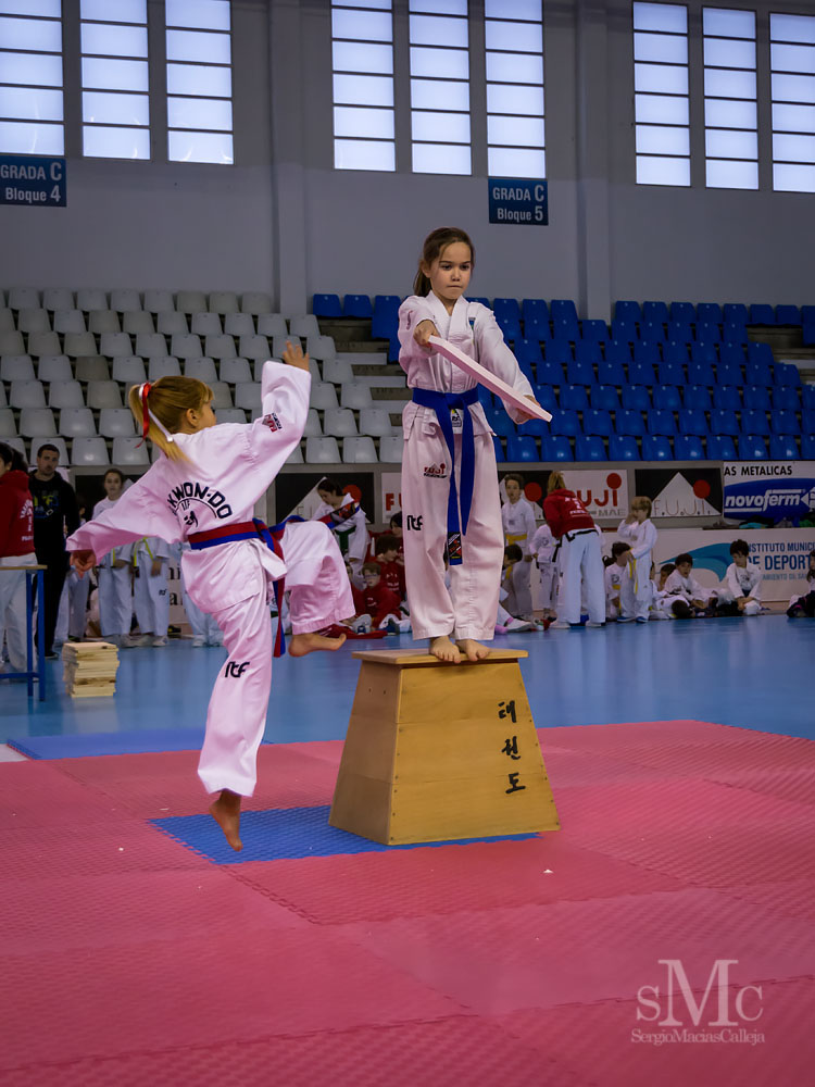 TAEKWONDO CAMPEONATO PAREJAS ABRIL 2018_1799.jpg